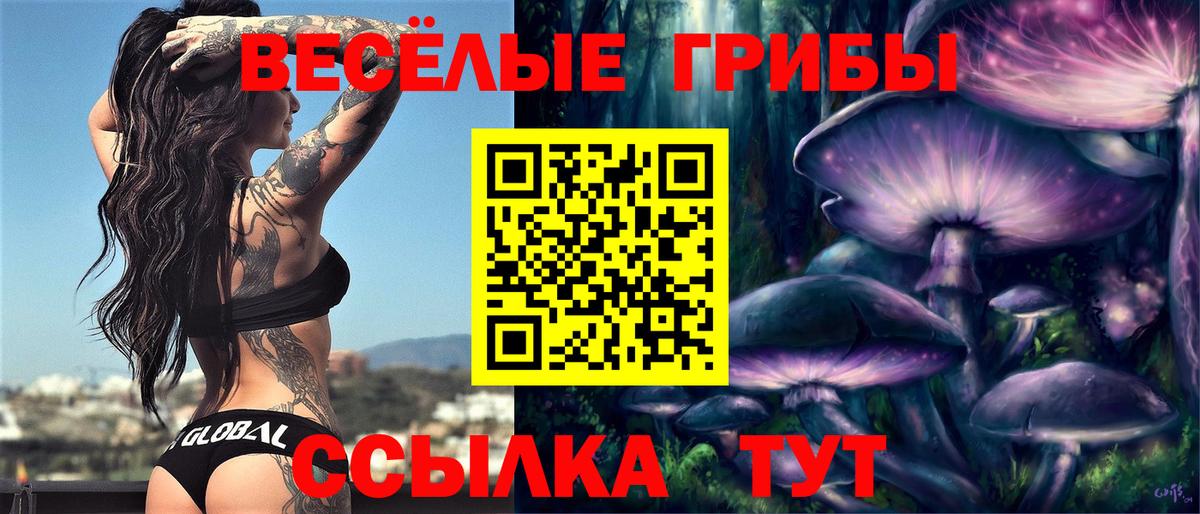 Псилоцибиновые грибы Psilocybe Верхняя Пышма