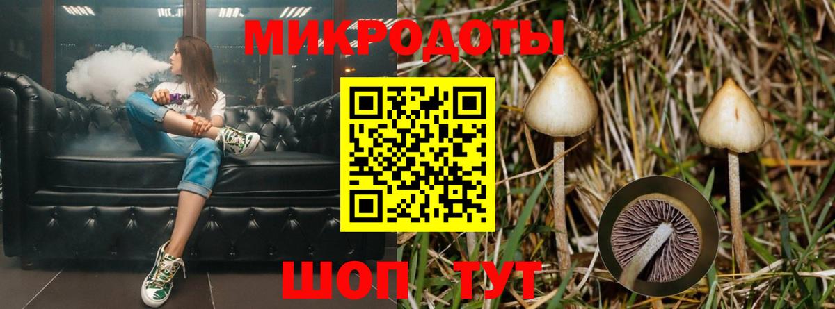 Верхняя Пышма  Псилоцибиновые грибы MAGIC MUSHROOMS  наркотики  Псилоцибиновые грибы Magic Shrooms  Вход с VPN 